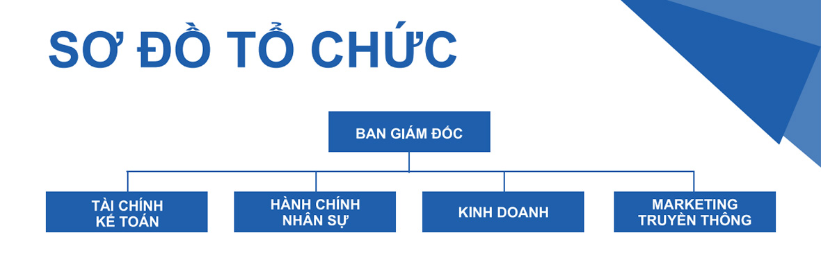 Sơ đồ tổ chức của Leader Real